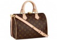 /album/louis-vuitton/la-borsa-bandouliere-di-louis-vuitton-2011-jpg/